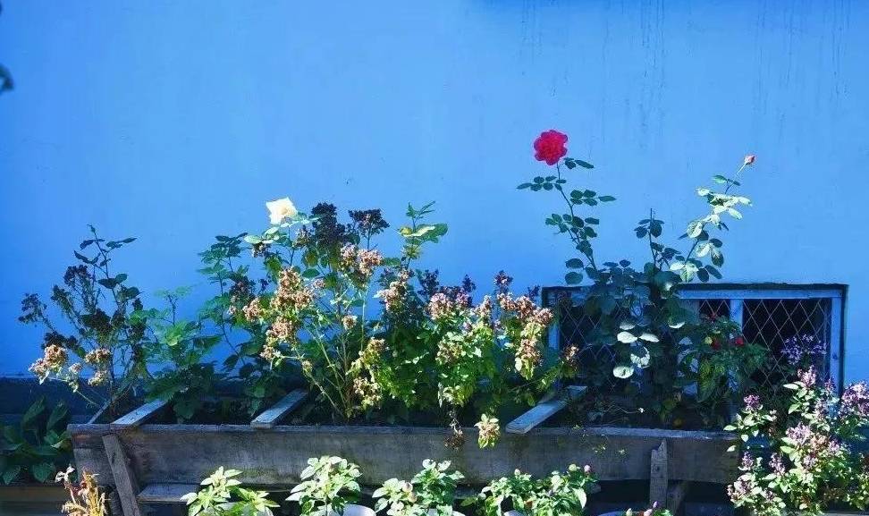 媲美摩洛哥，童话般的蓝色小镇，是这个春天与新疆的一场艳遇7