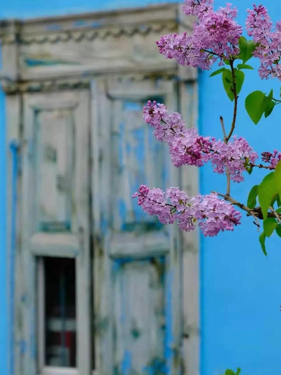 媲美摩洛哥，童话般的蓝色小镇，是这个春天与新疆的一场艳遇9