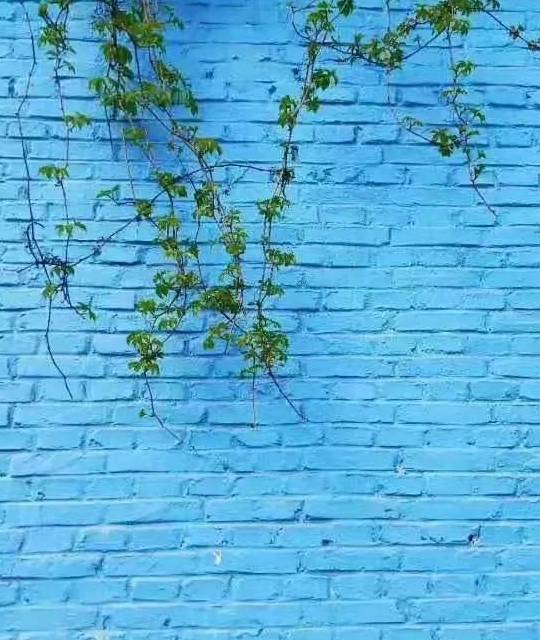 媲美摩洛哥，童话般的蓝色小镇，是这个春天与新疆的一场艳遇10