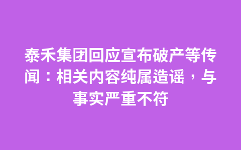 泰禾集团回应宣布破产等传闻：相关内容纯属造谣，与事实严重不符1