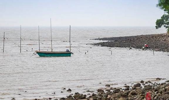 这个湿地公园,森林竟然长在海里,还能看到世界上最委屈的动物3