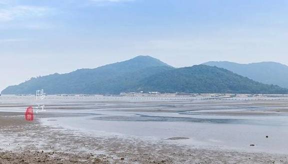 这个湿地公园,森林竟然长在海里,还能看到世界上最委屈的动物4