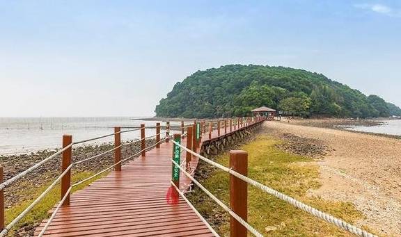 这个湿地公园,森林竟然长在海里,还能看到世界上最委屈的动物10