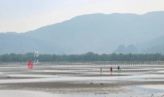 这个湿地公园,森林竟然长在海里,还能看到世界上最委屈的动物16