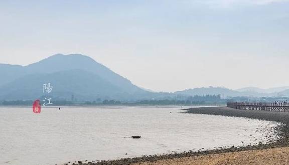 这个湿地公园,森林竟然长在海里,还能看到世界上最委屈的动物17