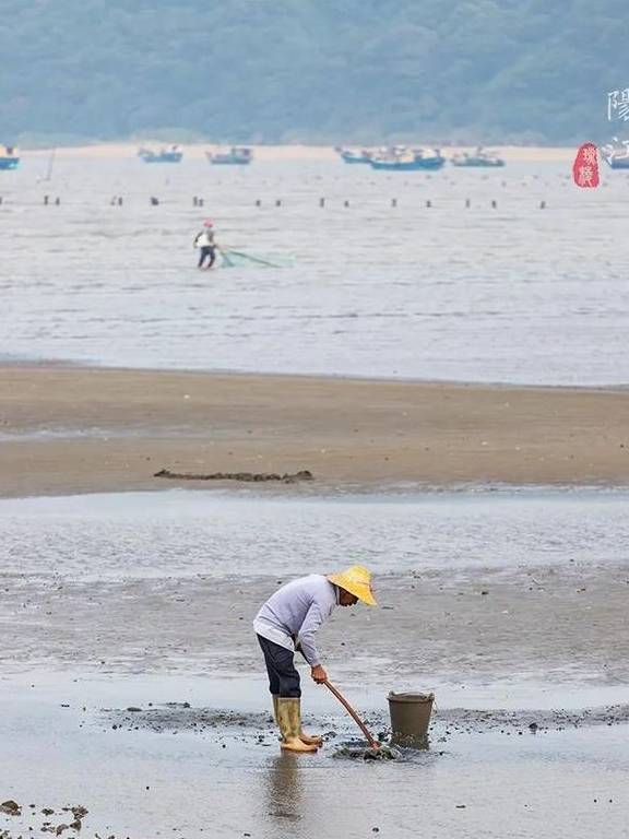 这个湿地公园,森林竟然长在海里,还能看到世界上最委屈的动物19