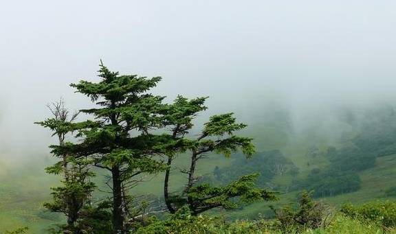 千岛群岛,如此之美8