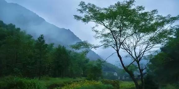 卖了杭州两套房,35岁的她带海归老公去山里开民宿5