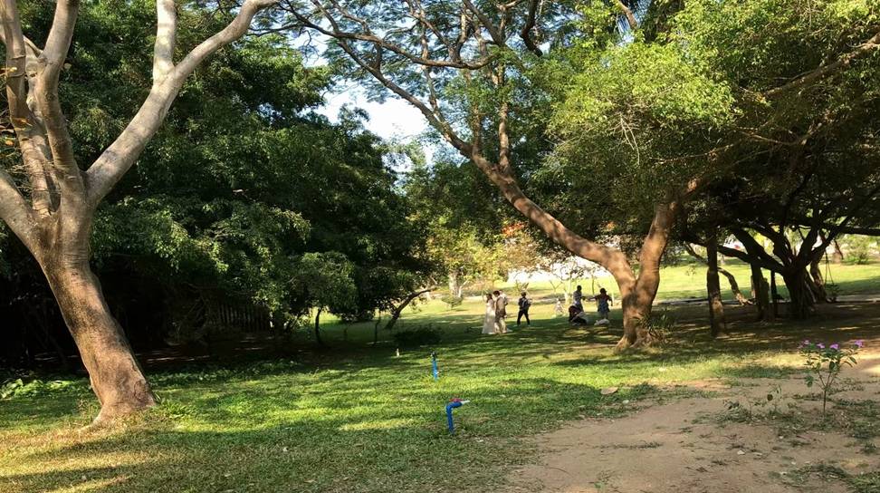 家庭出游，简短游天涯海角的海与景4