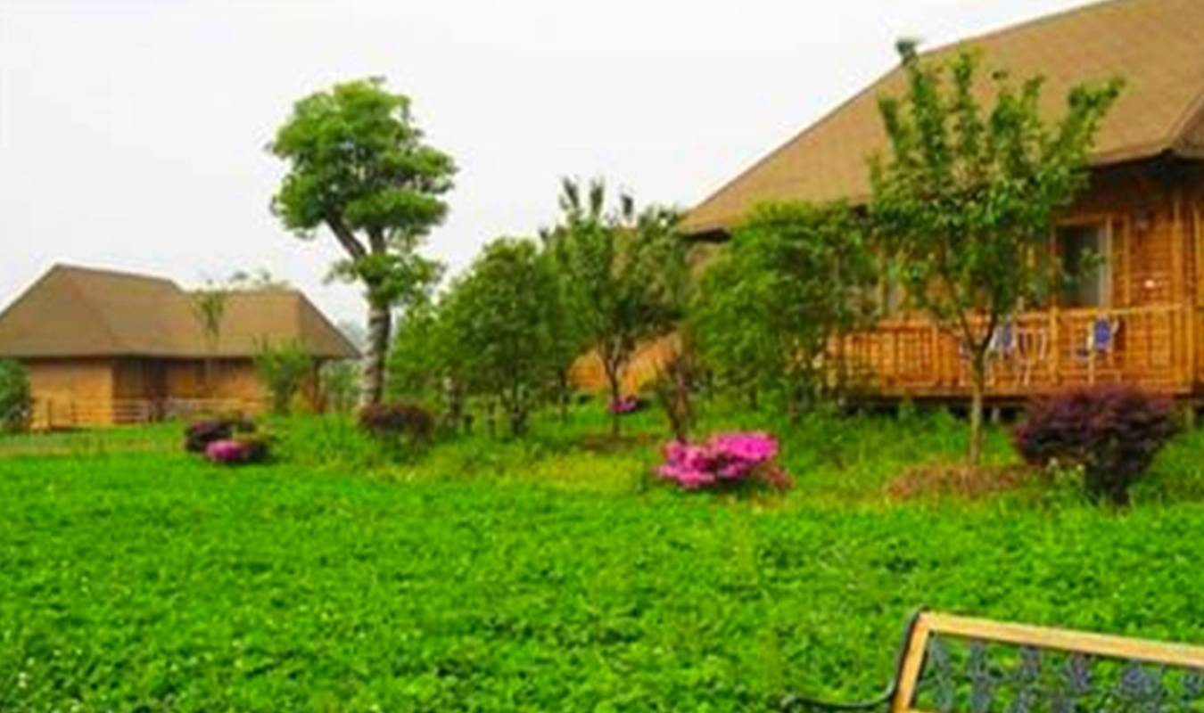 来杭州春游,这个地方不可错过,园区内四季常绿,有很多娱乐设施2