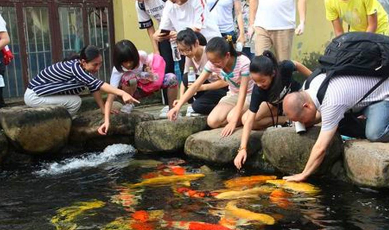 来杭州春游,这个地方不可错过,园区内四季常绿,有很多娱乐设施5