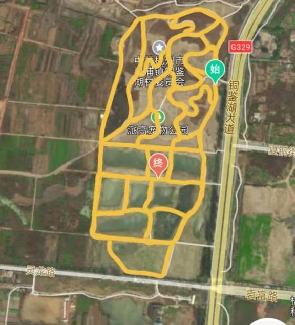 爆料!杭州的花海跑道已经美成这样了,有人早上4点赶去刷了个遍11