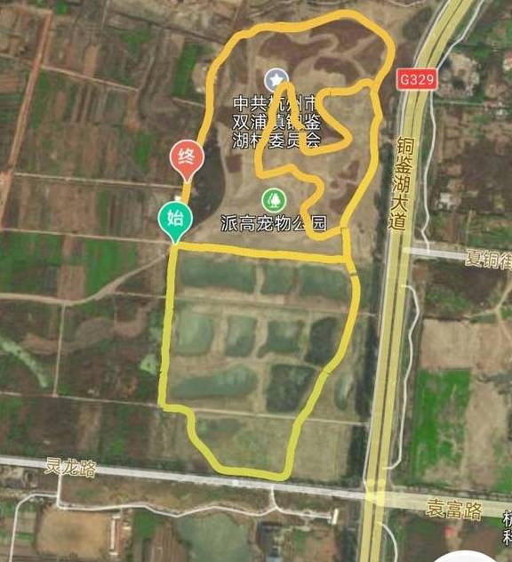 爆料!杭州的花海跑道已经美成这样了,有人早上4点赶去刷了个遍10