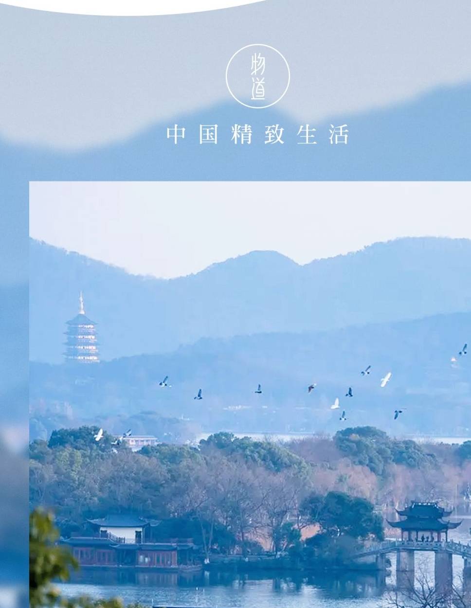 春天了,只想赖在杭州1