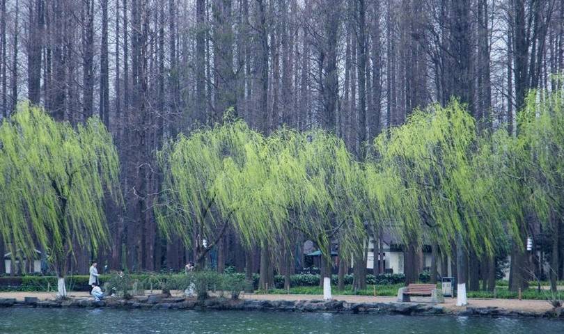 春天了,只想赖在杭州2