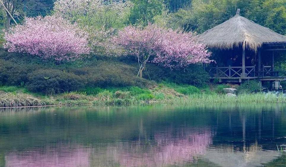 春天了,只想赖在杭州8