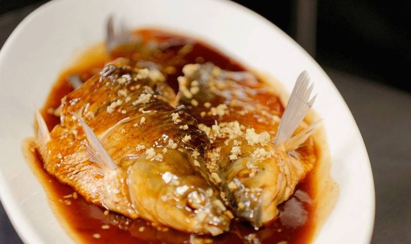 春天了,只想赖在杭州11