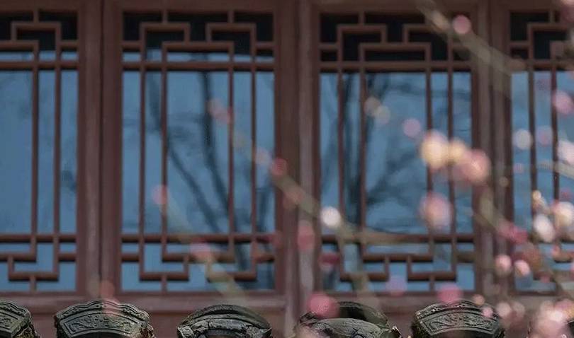 春天了,只想赖在杭州9