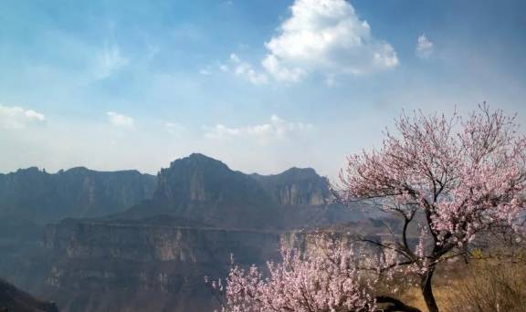 惊蛰至 雷声起 桃花开,太行大峡谷还你不一样的春天1