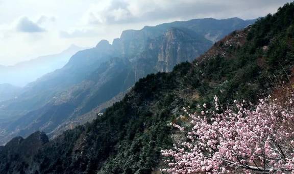 惊蛰至 雷声起 桃花开,太行大峡谷还你不一样的春天4