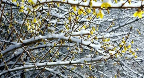 惊蛰至 雷声起 桃花开,太行大峡谷还你不一样的春天8