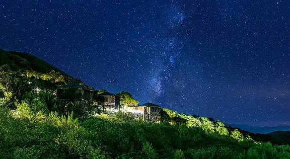 稀有血雀成群出现!为什么高黎贡山总有新秘密?2