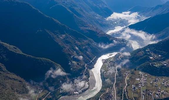 稀有血雀成群出现!为什么高黎贡山总有新秘密?6