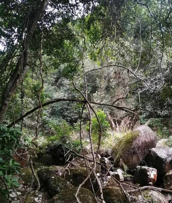 闽侯的倒箸溪,有点难,但是跑起来就对了20