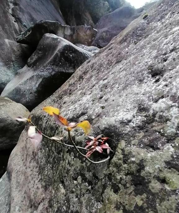 闽侯的倒箸溪,有点难,但是跑起来就对了29