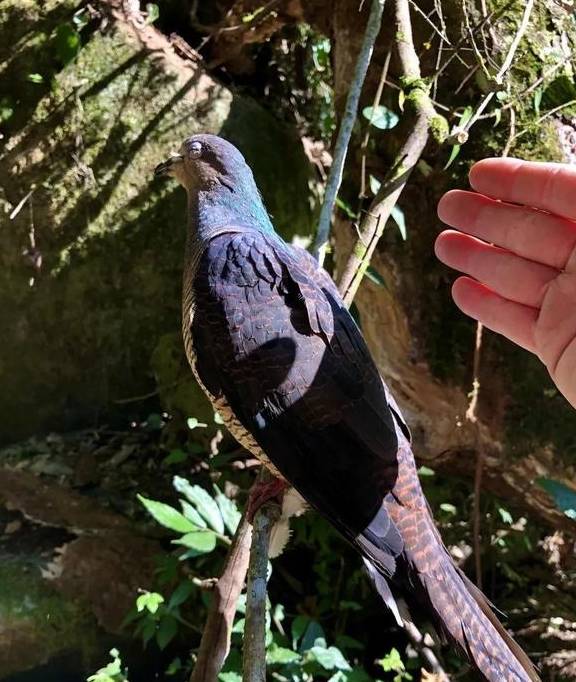 闽侯的倒箸溪,有点难,但是跑起来就对了58