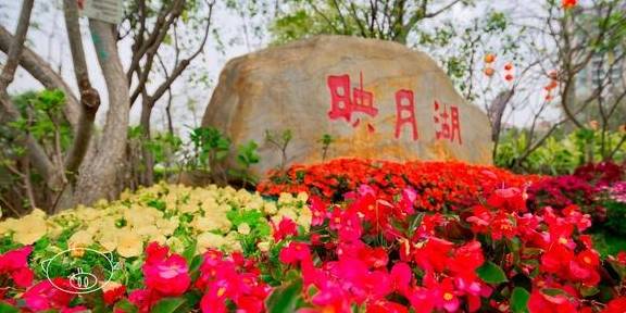 佛山|开满鲜花的映月湖,佛山首个以“月亮”为主题的公园1