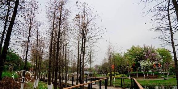 佛山|开满鲜花的映月湖,佛山首个以“月亮”为主题的公园3