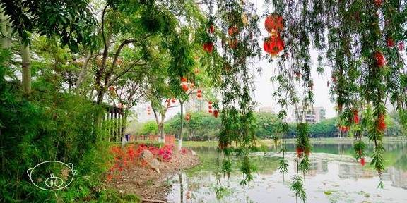 佛山|开满鲜花的映月湖,佛山首个以“月亮”为主题的公园7