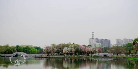 佛山|开满鲜花的映月湖,佛山首个以“月亮”为主题的公园8