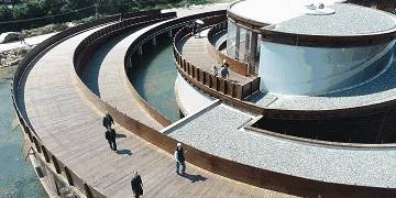 凭乡村建筑多次入选国际大奖,是时候换一种方式认识丽水了14