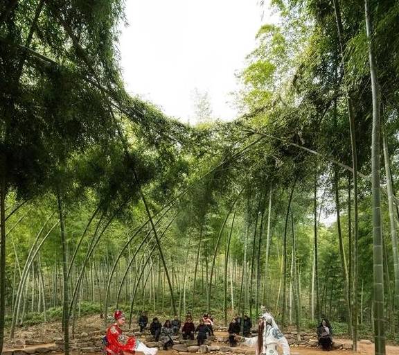 凭乡村建筑多次入选国际大奖,是时候换一种方式认识丽水了35