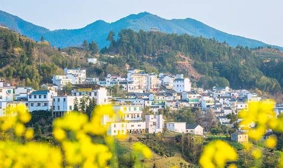 安徽歙县有一座古村落,这里有云海里的油菜花,清晨宛若仙境2