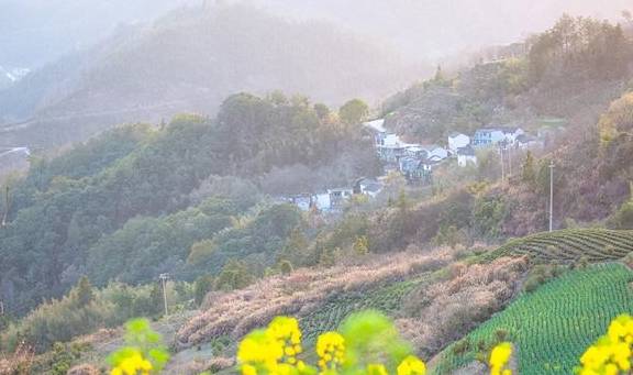 安徽歙县有一座古村落,这里有云海里的油菜花,清晨宛若仙境4