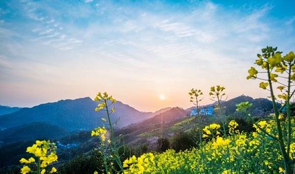 安徽歙县有一座古村落,这里有云海里的油菜花,清晨宛若仙境11