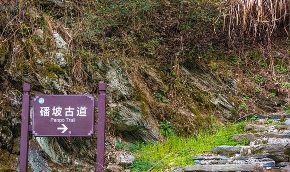 安徽歙县有一座古村落,这里有云海里的油菜花,清晨宛若仙境10