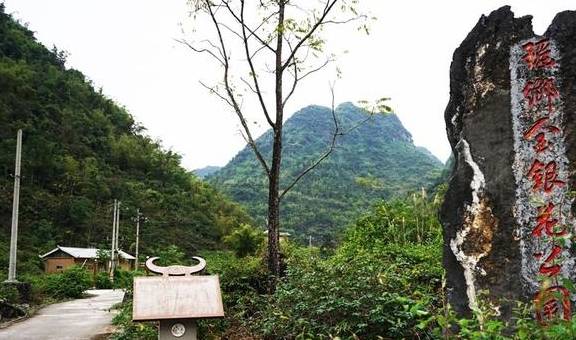 这个隐匿山谷的瑶寨,石缝里长出金银花,村子变成了公园1