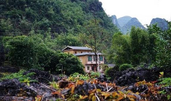 这个隐匿山谷的瑶寨,石缝里长出金银花,村子变成了公园3