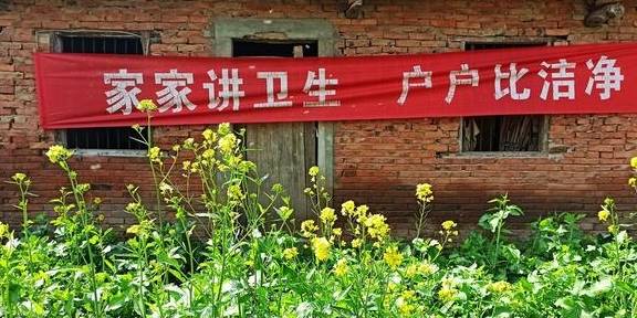 武汉有个湖南村！在希望的田野上，春游江夏区湖南棚湾村12