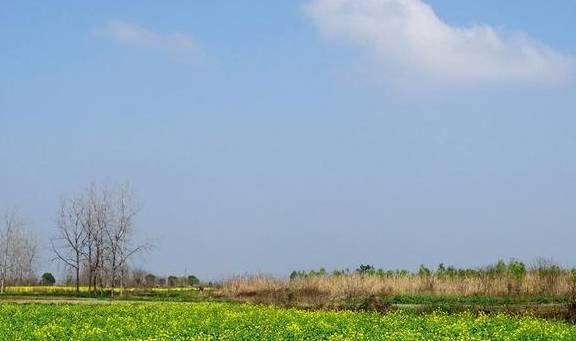 武汉有个湖南村！在希望的田野上，春游江夏区湖南棚湾村4