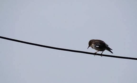 武汉有个湖南村！在希望的田野上，春游江夏区湖南棚湾村10