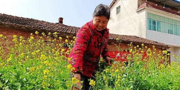武汉有个湖南村！在希望的田野上，春游江夏区湖南棚湾村14