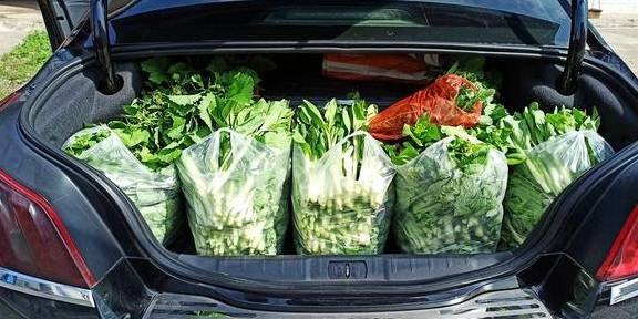 武汉有个湖南村！在希望的田野上，春游江夏区湖南棚湾村17