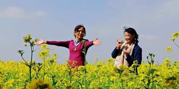 武汉有个湖南村！在希望的田野上，春游江夏区湖南棚湾村21