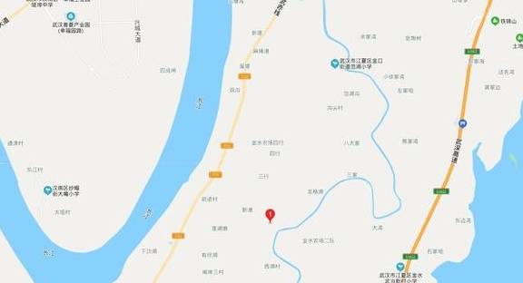 武汉有个湖南村！在希望的田野上，春游江夏区湖南棚湾村28