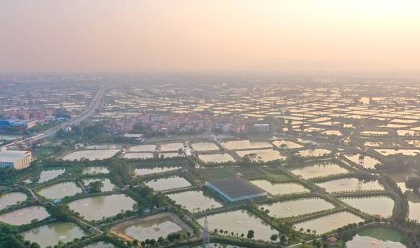 春天第一批水果就要成熟了,佛山渔耕文化园3月6日举行尝新活动6